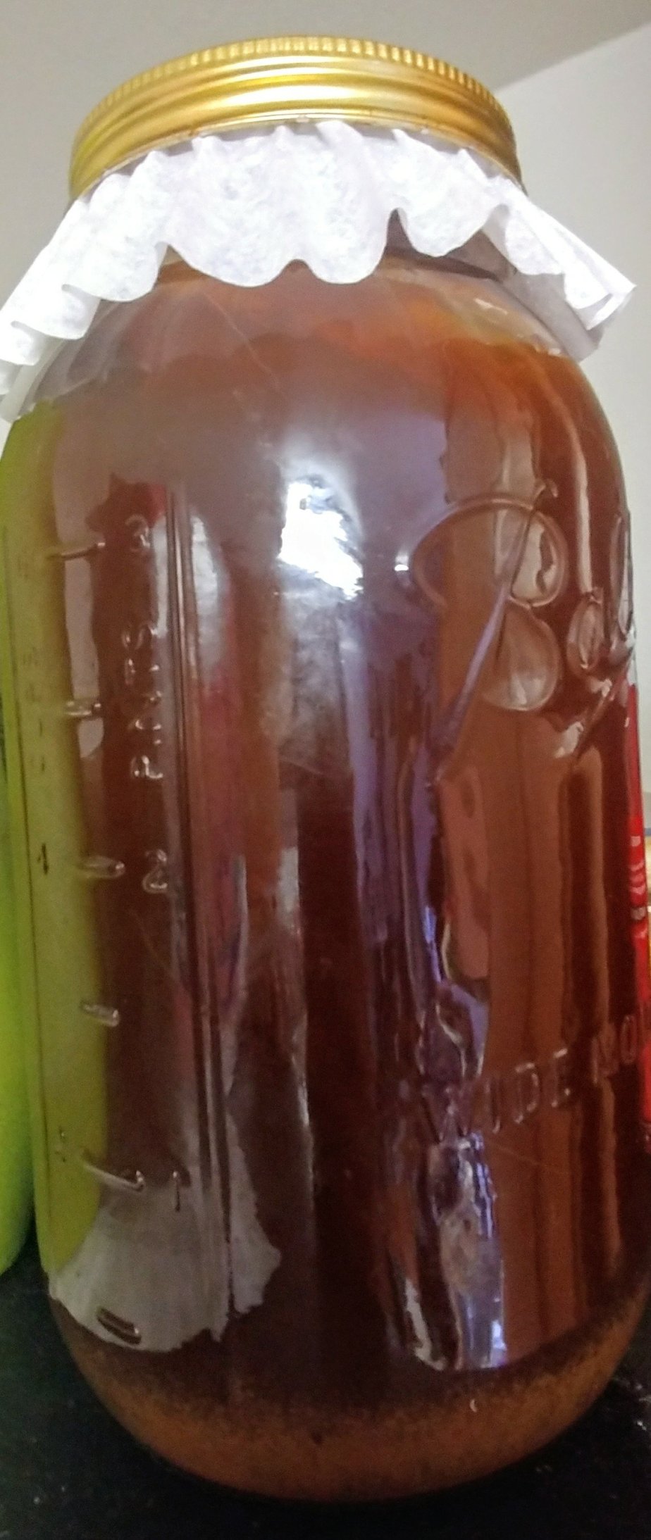 Grow Your Own&nbsp;Kombucha