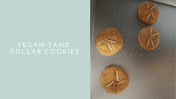 Vegan Sand Dollar Cookies